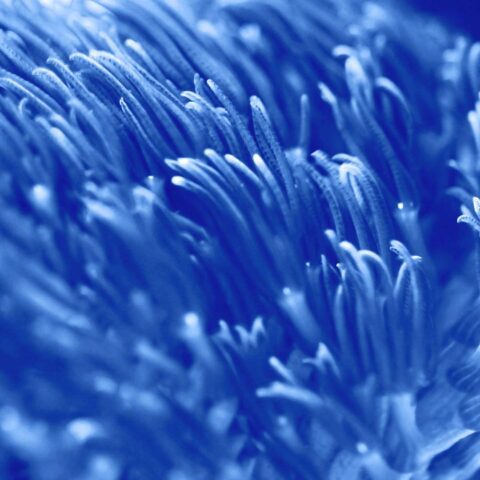 Life sciences image